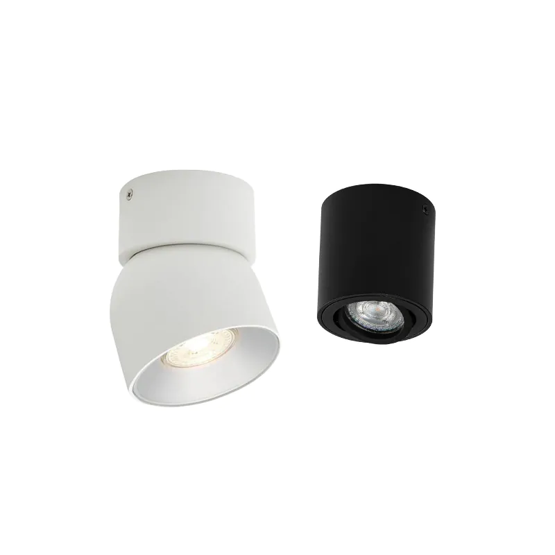 Plafondlamp met spot
