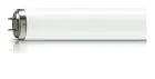 Philips TL - DK 36W - Blacklight | 60cm - Insectkiller