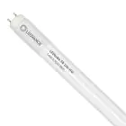 Ledvance LED Buis T8 Performance (UN) High Output 14W 2100lm - 865 Daglicht | 120cm - Vervangt 36W